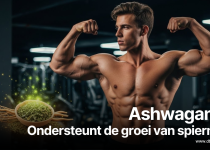 Ashwagandha Ondersteunt de groei van spiermassa