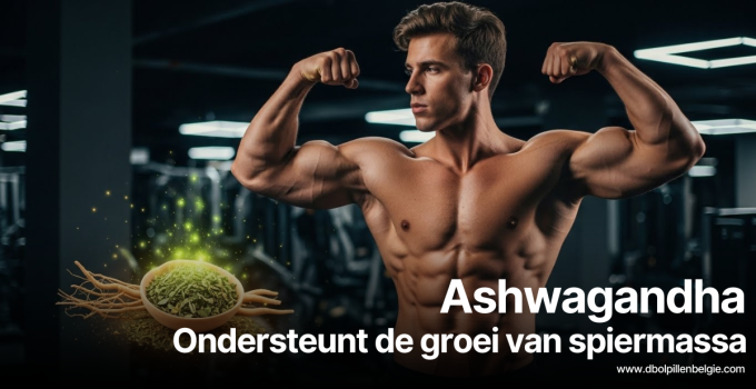 Ashwagandha Ondersteunt de groei van spiermassa